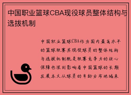 中国职业篮球CBA现役球员整体结构与选拔机制