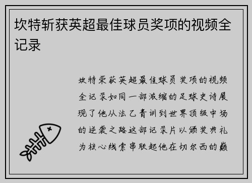 坎特斩获英超最佳球员奖项的视频全记录