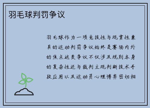 羽毛球判罚争议